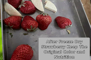 เครื่องอบแห้งแช่แข็งในครัวเรือนสำหรับการเตรียมอาหารปราศจากกลูเตน - Product Image 3