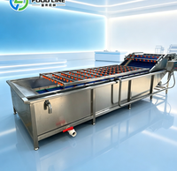 Bellenwasmachine 5m lang, op maat gemaakt voor fruitwerkplaats