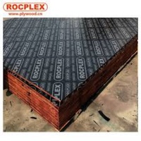 Tablero de Encofrado de Álamo Fenólico Moderno de Primera Clase E1, Ecológico, Antidesgaste, de 12/15/18mm, para Construcción