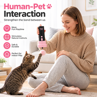 Baguette interactive manuelle pour chat en ABS avec design rétractable et lanceur à un clic pour le jeu des chats