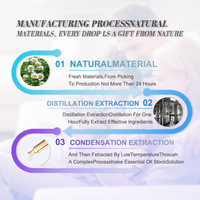 Personnaliser OEM 100% Huile essentielle biologique pure Camomille Huile d'aromathérapie pour diffuseur Parfum Bougie Savon Huile essentielle