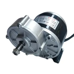 250W 12V / 24V Dc Geborsteld Tandwielmotor Lange As 11Mm Elektrische Driewieler E-Bike Motor My1016z2