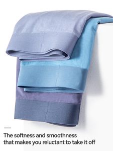 Ropa Interior sin Costuras para Hombre, Antibacteriana y Transpirable, Cómodos Bóxers para Hombre - Product Image 2