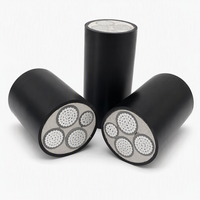 Câble d'alimentation en aluminium isolé XLPE LSZH à faible émission de fumée et sans halogène WDZ-YJLV 3*120+1*70 0,6/1kV, câble ignifuge basse tension