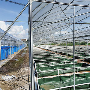 Soiless cultura sistema simbiótico agrícola pescado cultura greenhuouse granja hidropónica sistemas de cultivo - Product Image 6