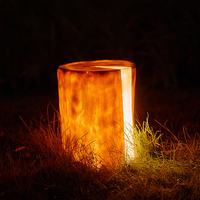 Lampe de paysage en fibre de verre IP65 Source de lumière LED pour décor de jardin de parc de feu de joie de Villa-Éclairage en bois de fissure de souche d'arbre de motif
