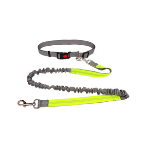 Usine directe luxe Style solide rubans multifonctionnel rétractable élastique chien collier pour animaux de compagnie course sport rétractable sport - Product Image 4