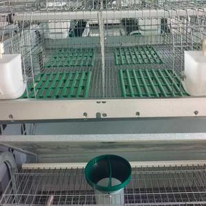 Gabbia per Conigli di Alta Qualità per un Allevamento Sano dei Conigli - Product Image 2