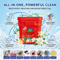 Poudre de Savon Naturelle Prix Direct Usine Lessive en Poudre 2,5kg Emballage en Vrac Fabricant OEM/ODM de Poudre à Laver