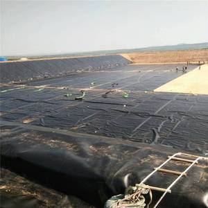 Geosynthetische Pvc Membraan Viskweek Vijver Liner Hdpe Dam Liner Hdpe Geomembranes Vijver Liner Viskwekerij Waterdicht Hdpe - Product Image 5