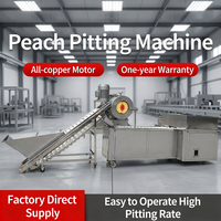 Nieuwe fruit- en groenteverwerkingsmachine 4,2 kW automatische snijmachine met PLC-besturing, hoge capaciteit, gemotoriseerd