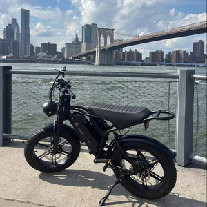 Vélo de montagne électrique Yeestep <span class=keywords><strong>V8</strong></span> 4.0 20 pouces R002 250W avec batterie amovible, fourche en acier, pédale ordinaire, vélo électrique, entrepôt UE/Royaume-Uni/Australie - Product Image 6