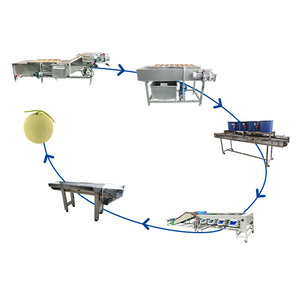 Ligne de tri automatique pour légumes fruits citron <span class=keywords><strong>kiwi</strong></span> olive trieuse d'oignons tomates cerises pomme mangue trieuse de pommes de terre - Product Image 3
