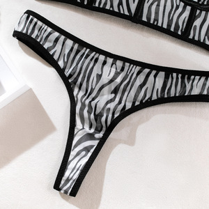 Conjunto de lencería transparente de malla Zebra, diseño sencillo, bralette transparente, sujetador y bragas. - Product Image 4