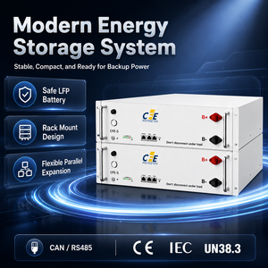 Batería LiFePO4 <span class=keywords><strong>CFE</strong></span> 51.2V 100Ah 5kWh para Hogar, ESS de 6000 Ciclos, Montaje en Pared, CAN, 5 Años de Garantía para Growatt, Solis, Goodwe - Product Image 3