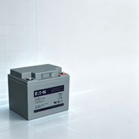 Batterie UPS rechargeable Eaton Sealed AGM 12V 100Ah 1200Wh pour système solaire ETNHW12-100Ah