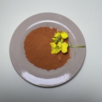 Oxyde de fer orange 1309-37-1 Colorant pour glaçure céramique Agent colorant pour carreaux de céramique Pigment pour poterie