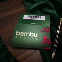 Tarjeta de PVC con banda magnética impresa en offset CMYK personalizada de Caika, con estampado UV y dorado, tamaño CR80, para uso de membresía VIP con código de barras