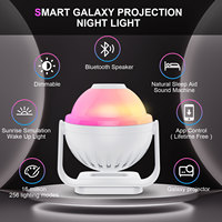 Projecteur d'étoiles télécommandé à gradation Smart App lumières de scène de ciel étoilé avec haut-parleur de musique Led veilleuse pour cadeau d'enfants
