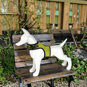 الشركة المصنعة الأعلى مبيعًا الصيف تنفس وصديقي للموضة شبكة الهواء شخصية سهلة قابلة للتعديل عاكس المشي آمن الكلب تسخير - Product Image 1