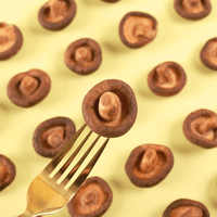 Tranches de champignons shiitake séchés croustillants sous vide, 48g, best-seller, collation saine |   Certifié Halal