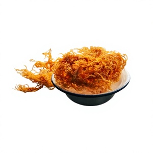 Golden Irish Sea Moss 100% Pure Raw Gold Wildcrafted Natural AD Roasted Bulk Health Wellness 24 Months Shelf Life EXPAD Brand - Product Image 1