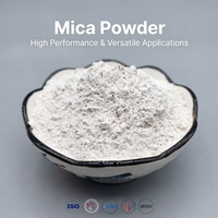 Poudre de mica muscovite 200 mesh pour revêtements industriels, additifs de peinture, résistante aux UV et aux intempéries, faible teneur en COV, renforçante