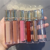 88 Couleurs Gloss à Lèvres Maquillage Tube Diamanté Base de Gloss à Lèvres Échantillon Gratuit de Gloss à Lèvres