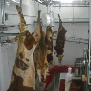Attrezzatura per la macellazione del bufalo del macello rituale per la linea di lavorazione della carne del macellaio di manzo
