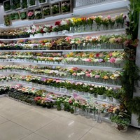 Plante artificielle en gros sur mesure, fausse fougère, feuillage réaliste, verdure pour décoration murale commerciale et résidentielle, accessoires de paysagisme, Planta