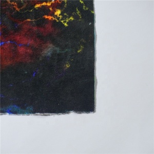 Xoài 100% Polyester In Kỹ Thuật Số Minky Vải Bé In Bán Buôn Vải Cho Bé Chăn 240GSM/280GSM - Product Image 5