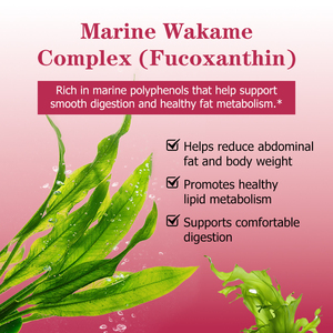 High Quality Weight loss and Burn Powder with Gynostemma Extract Supports Fat Metabolism and Body Balance Helps Reduce Abdominal - Product Image 6