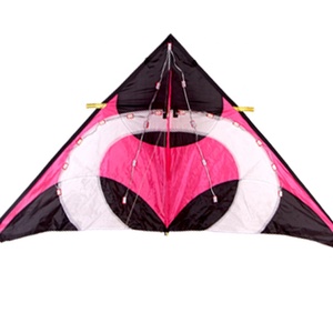 <span class=keywords><strong>Cerf</strong></span>-<span class=keywords><strong>volant</strong></span> 3D led en couleur, vente directe d'usine, personnalisé, festival, éclairage du nord, <span class=keywords><strong>cerf</strong></span>-<span class=keywords><strong>volant</strong></span> - Product Image 2