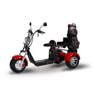 Scooter Eléctrico Citycoco 2026, Unisex, de Tres Ruedas, Deportivo/de Golf, con Batería de 12/20ah, Tipo Digital Inteligente, Triciclo de Golf - Product Image 4