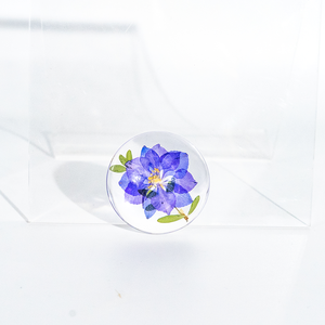 Artesanías de Resina, Especímenes de Resina, Flores Secas, Artesanías de Resina Hechas a Mano, Especímenes de Flores DIY, Recursos Didácticos, Regalos de Navidad, Plantas - Product Image 6