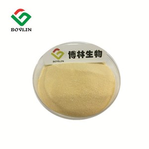 コーンペプチド75%加水分解コーンプロテインパウダー - Product Image 3