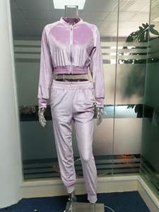 2025 Lässige Samt anzüge für Frauen Herbst und Winter Einfarbige Kapuzen pullover mit Reiß verschluss und Jogger hose Zweiteilige Sets Anpassbar - Product Image 5