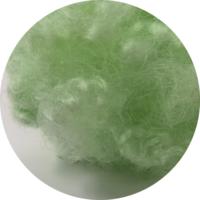 Fibre siliconée conjuguée creuse recyclée verte 7D pour le remplissage