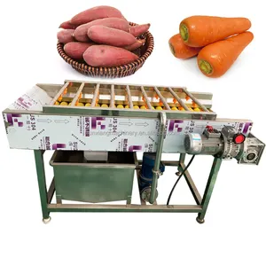 Máquina de lavar roupa comercial com escova, equipamento de limpeza de alimentos, frutas e legumes