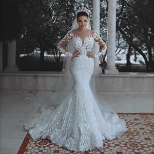 2025 Новое сексуальное платье с глубоким V-вырезом Русалка Кружева ажурная аппликация бисером свадебное платье Русалка свадебное платье - Product Image 1