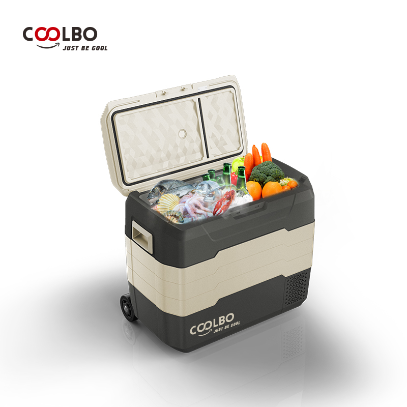 Портативный охлаждающий мини-холодильник с компрессором AWG55, 12 В, 24 В