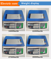 XingTo 3.7v 16/17.5 22/24/29/30/32/67/108ah cellule de poche au Lithium Lfp Ncm Lifepo4 batterie d'énergie cellule de poche de batterie