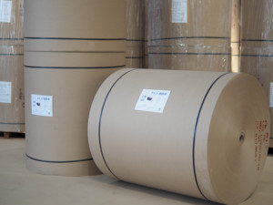 Papier carton en rouleau jumbo 450 g/m² – Matière première pour l'application de film papier, feuille de métallisation, tube textile, emballage conique, papier spécial - Product Image 5