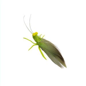 Varita de Juguete Realista con Forma de Gafillo y Plumas Naturales, Juguete de Silicona con Simulación de Insecto para Gatos de Interior - Product Image 5