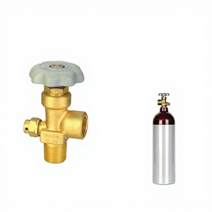 Valvola per Bombola di Gas CGA540 di Alta Qualità per Uso Industriale, Regolatori di Pressione a Prezzo Ragionevole - Product Image 4