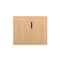 Solution de rangement intérieur moderne : Armoire de classement en acier pour la maison, le bureau, l'école, l'hôtel, le salon – Métal durable pour usage domestique et hospitalier