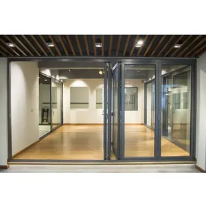 Neues Design schall isolierte gewölbte Falttüren außen schall isoliert Patio Veranda Metall Innen Bifold Terrasse Balkon dekorative Türen