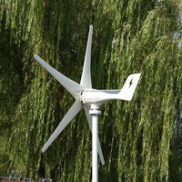 Éolienne horizontale à roue libre, générateur d'énergie libre, Windrad 800w 1000w, onduleur d'énergie éolienne, batterie au lithium hybride 600w