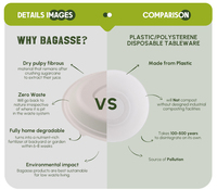 Moule à pulpe de Bagasse de canne à sucre jetable biodégradable Compostable bol à salade rond avec couvercle