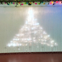 Controlador DMX RGB Inteligente Programable para Luces LED Decorativas de Navidad para Exteriores